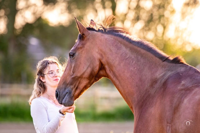 0A8A1194 Modifier Moyenne